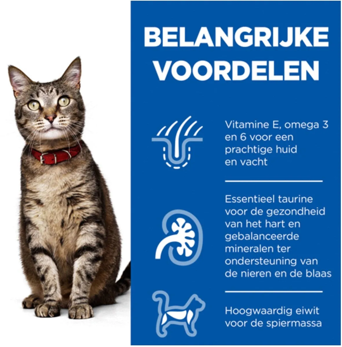 Hill's Feline Adult Kip Kattenvoer 3kg