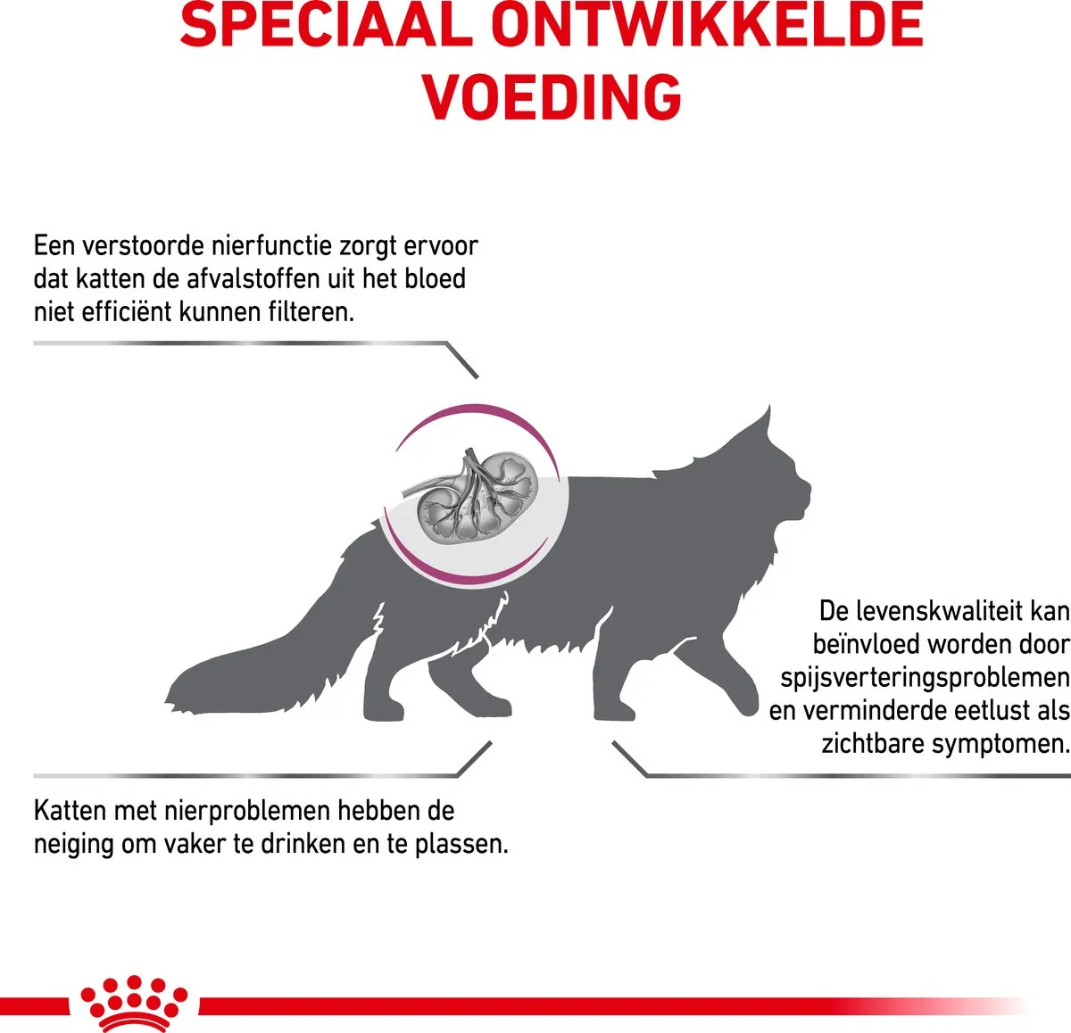 Royal Canin Veterinary Diet Renal Select Kattenvoer 2kg