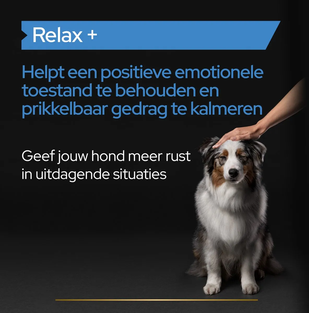 Pro Plan Hond Relax Olie 250ml