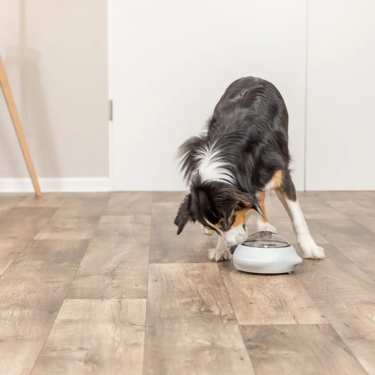 Trixie Snack Popper Hondenspeelgoed - Grijs - afbeelding 5 van 6