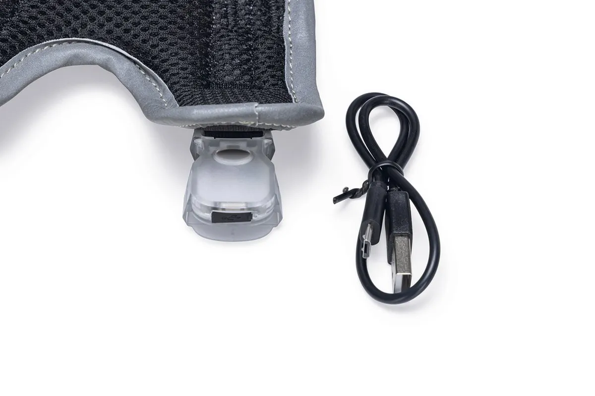 Beeztees Parinca Premium Y-Tuig - LED - 38-51cm x 15mm