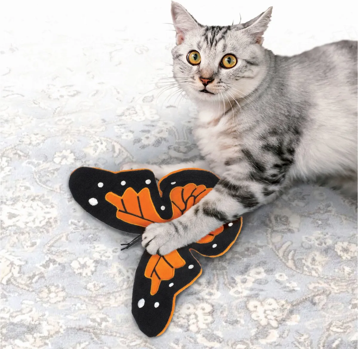 KONG Crackles Flutterz Katten Speelgoed