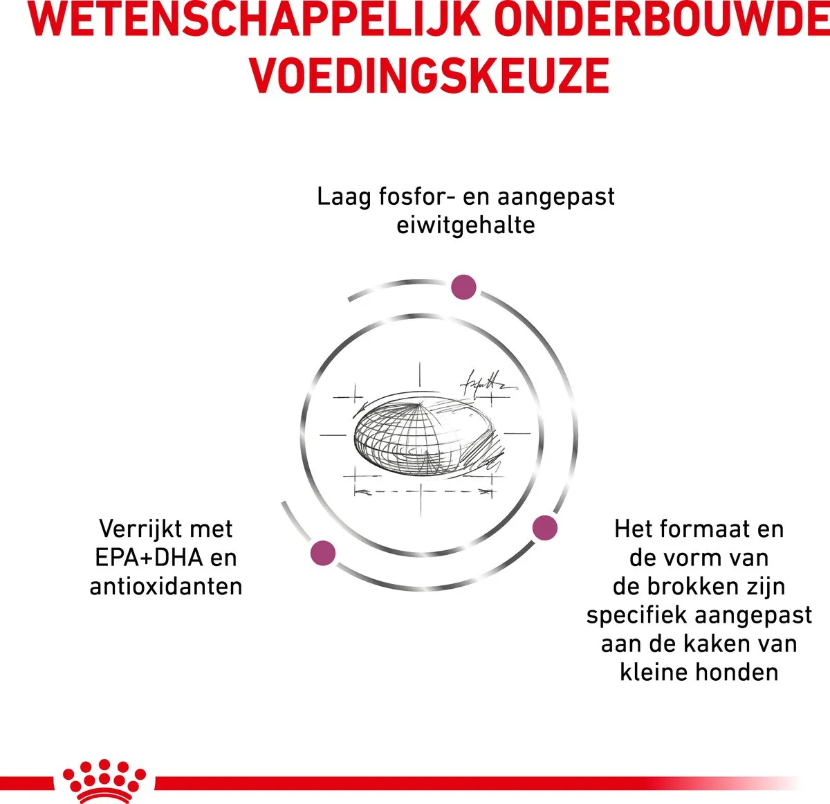 Royal Canin Renal Special - Kattenvoer - 4 kg