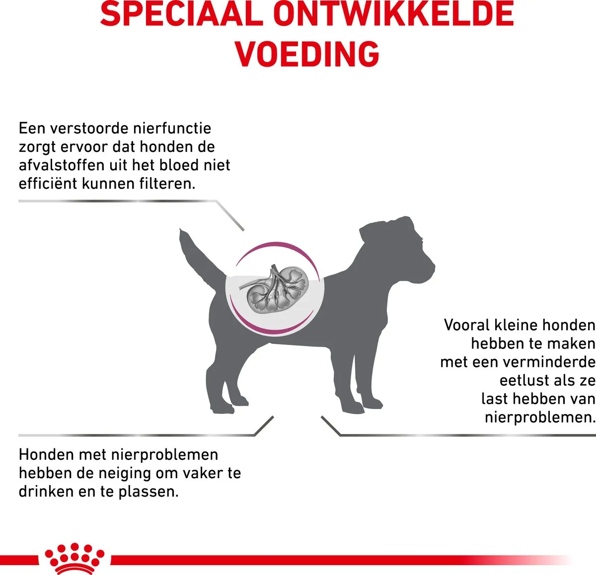 Royal Canin Renal Special - Kattenvoer - 4 kg