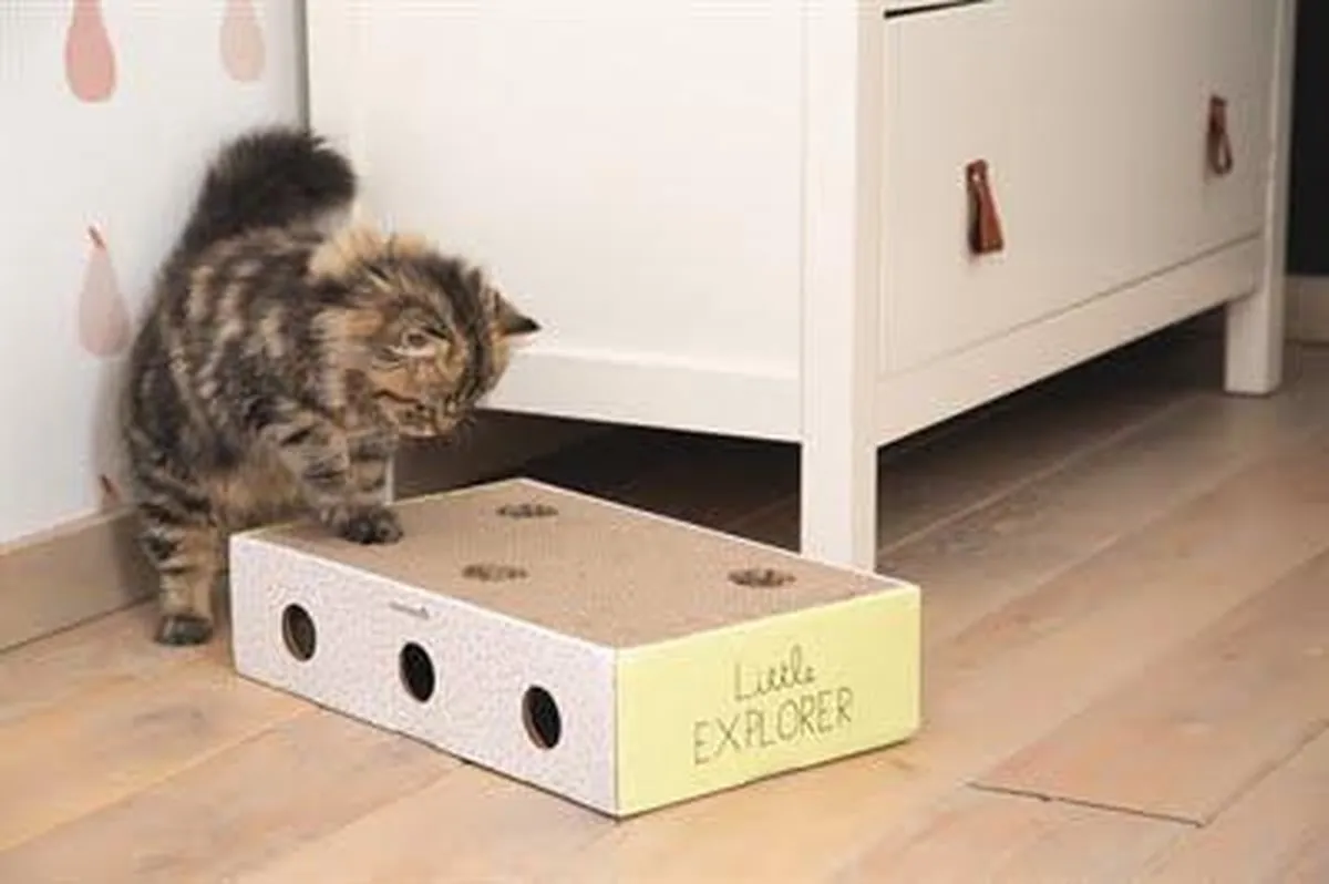Beeztees Kitten Krabplank Box Riva - Geel/Wit