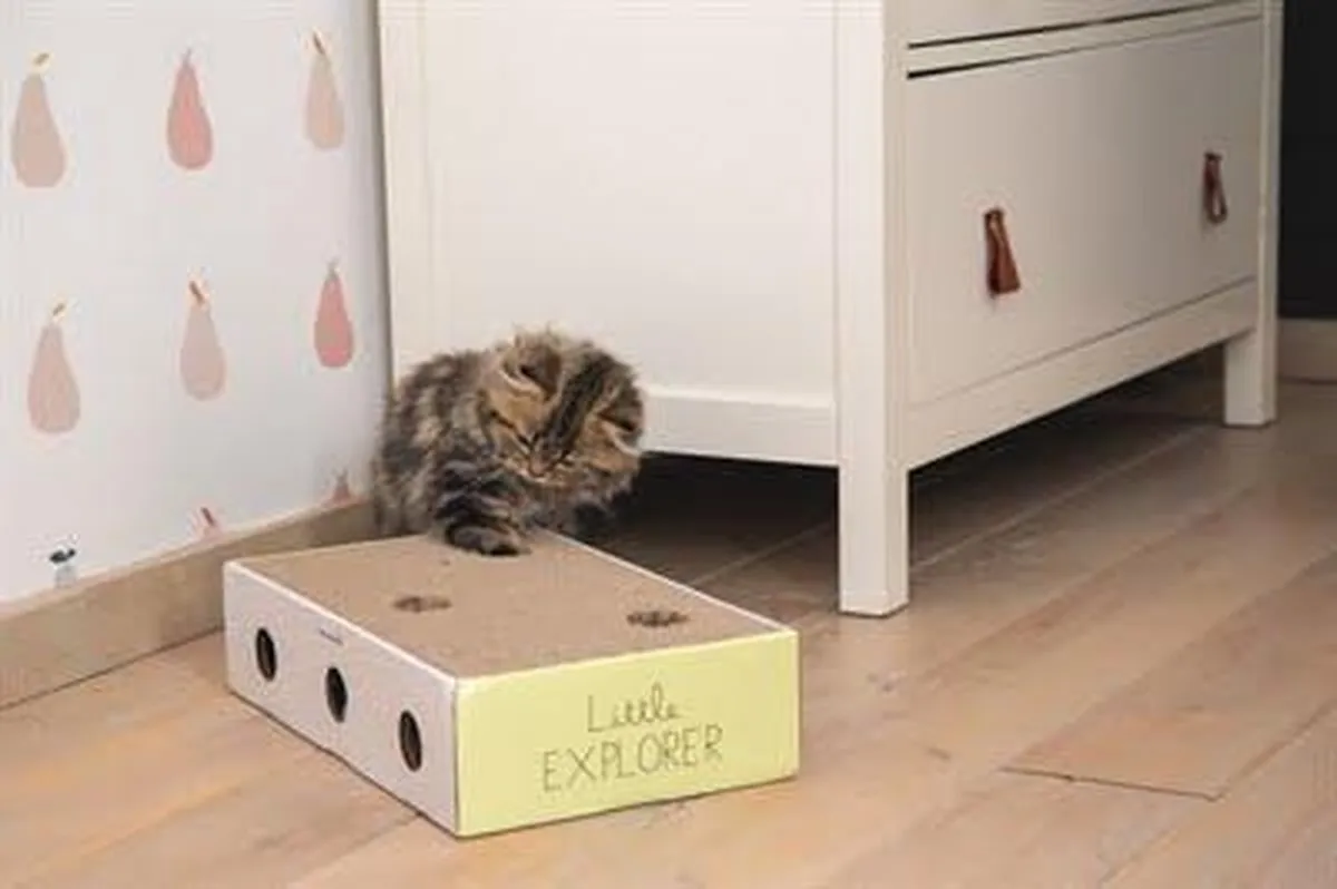Beeztees Kitten Krabplank Box Riva - Geel/Wit