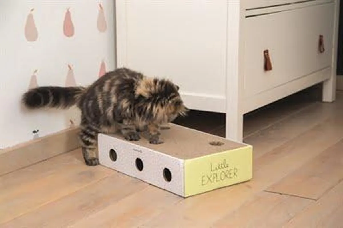Beeztees Kitten Krabplank Box Riva - Geel/Wit