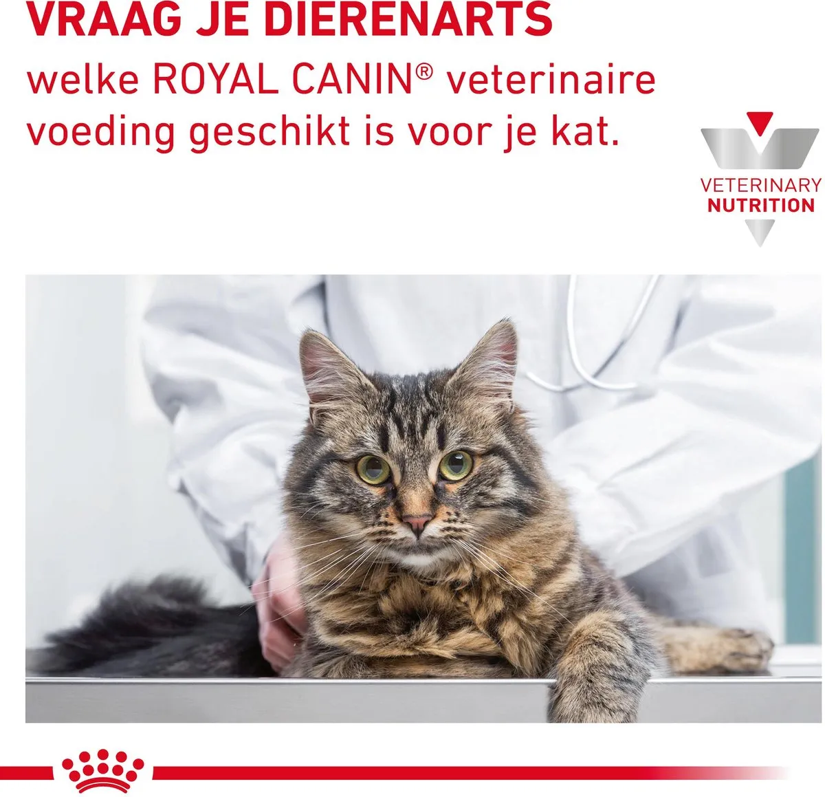 Royal Canin Fibre Response Kat Maaltijdzakjes - 12x85g