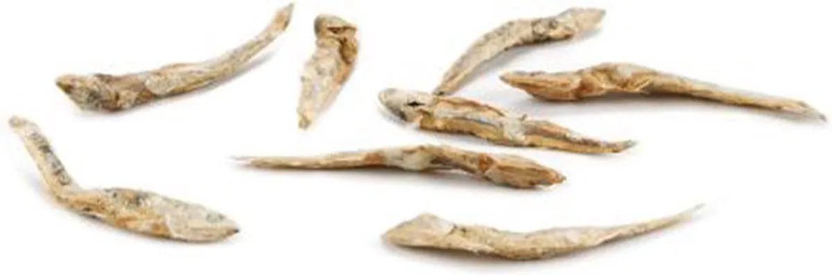 Beeztees Dried Fish Kattensnacks 100g