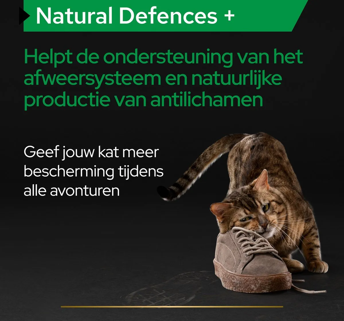 Pro Plan Natural Defence Kat Supplement Poeder 60g