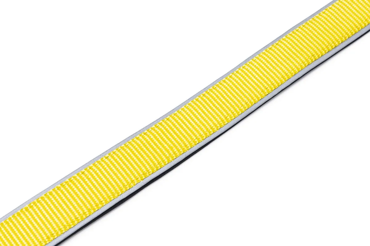 Beeztees Parinca Premium Hondenriem - Nylon Geel 150x2,5cm