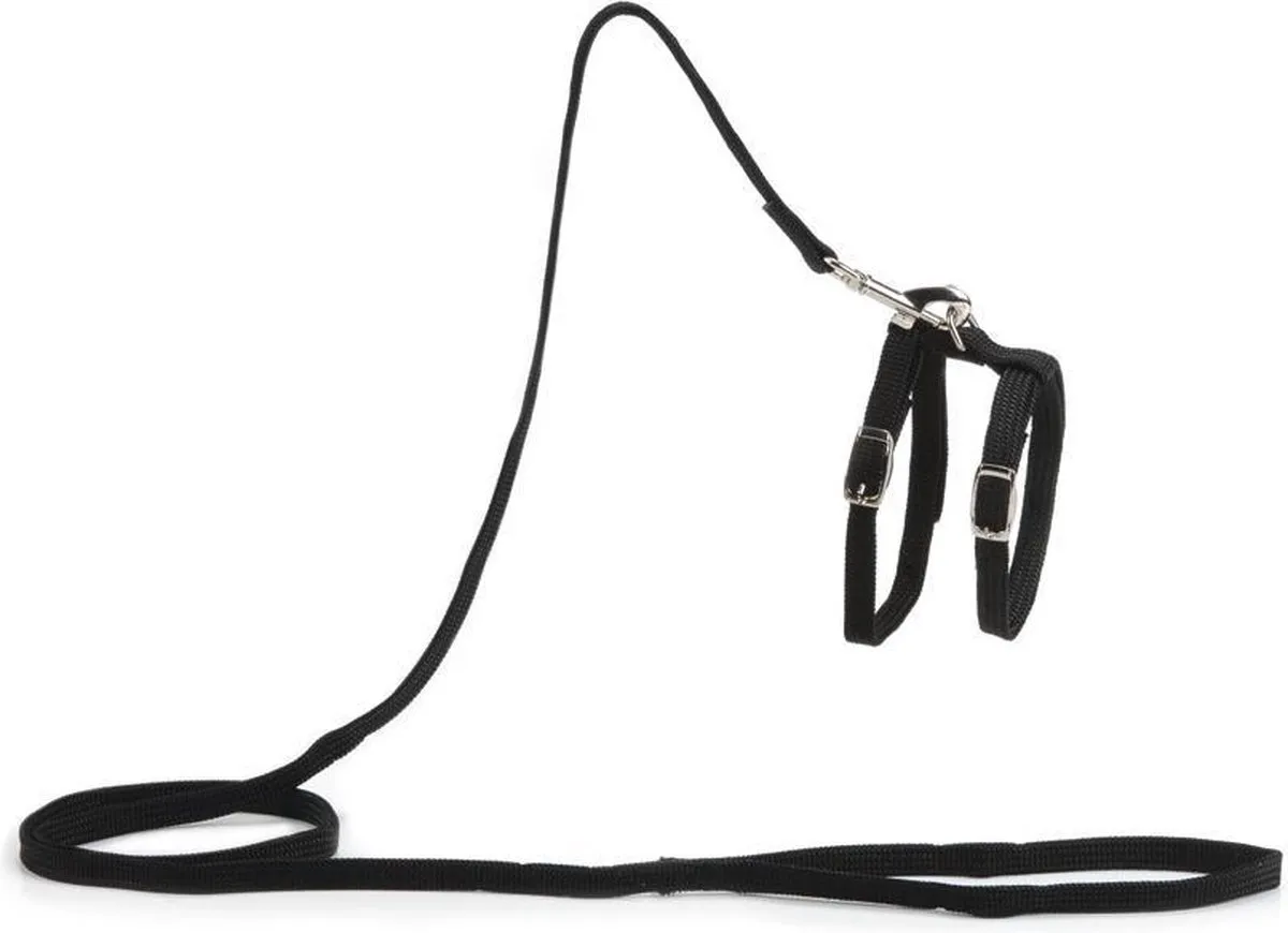 Beeztees Kattentuigje Nylon 130cm x 10mm - 6 Stuks