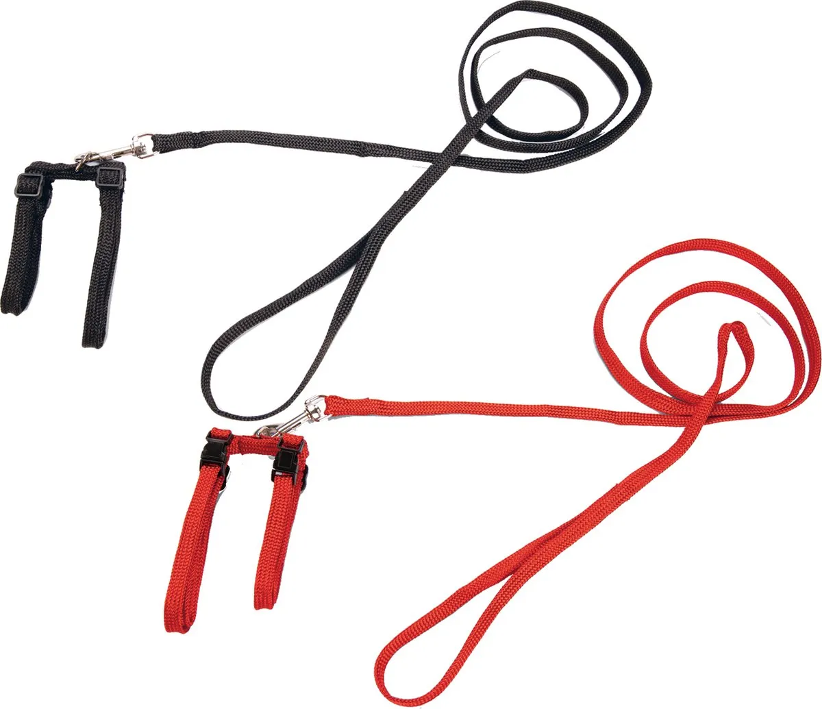 Beeztees Kattentuigje Nylon 130cm x 10mm - 6 Stuks