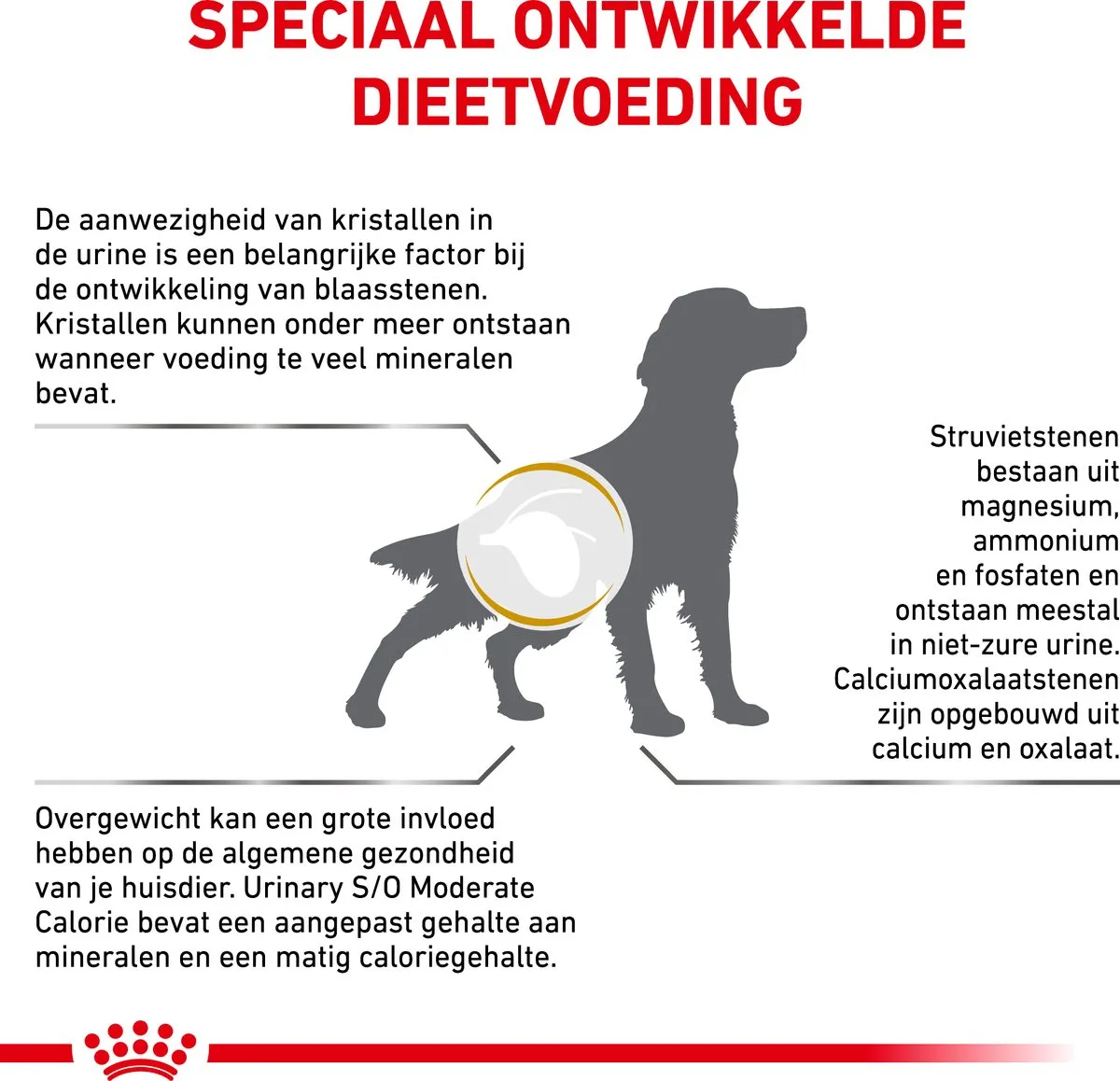 Royal Canin Veterinary Diet Urinary S/O Moderate Calorie Hondenvoer 12kg