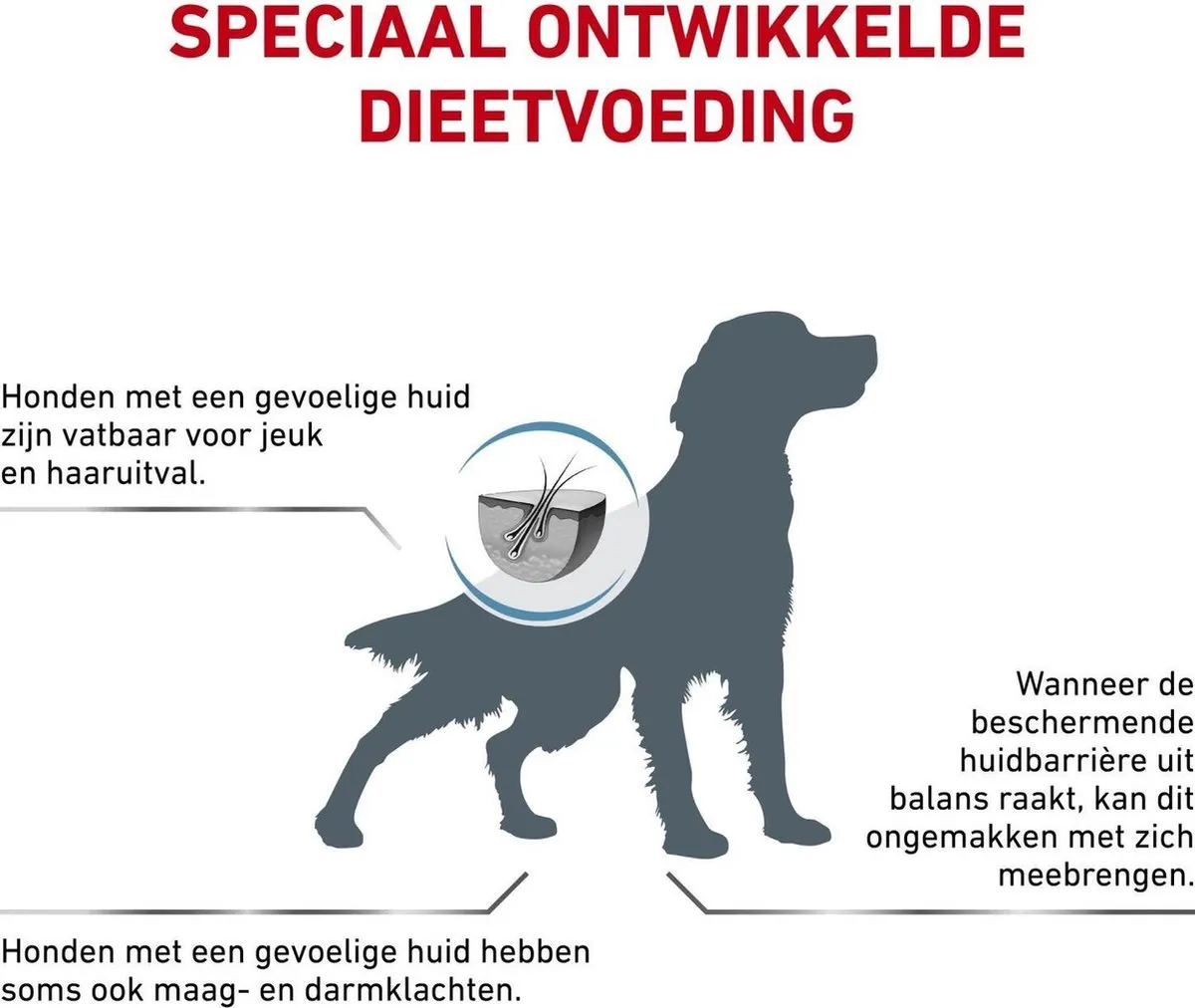 Royal Canin Veterinary Diet Skin Care Hondenvoer 2kg