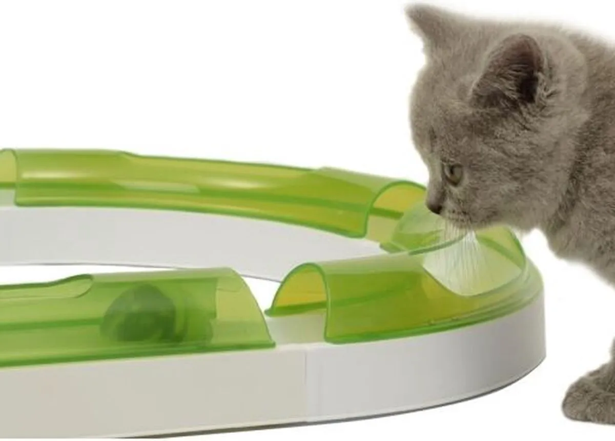 Catit Senses 2.0 Play Circuit Kattenspeelgoed - Groen