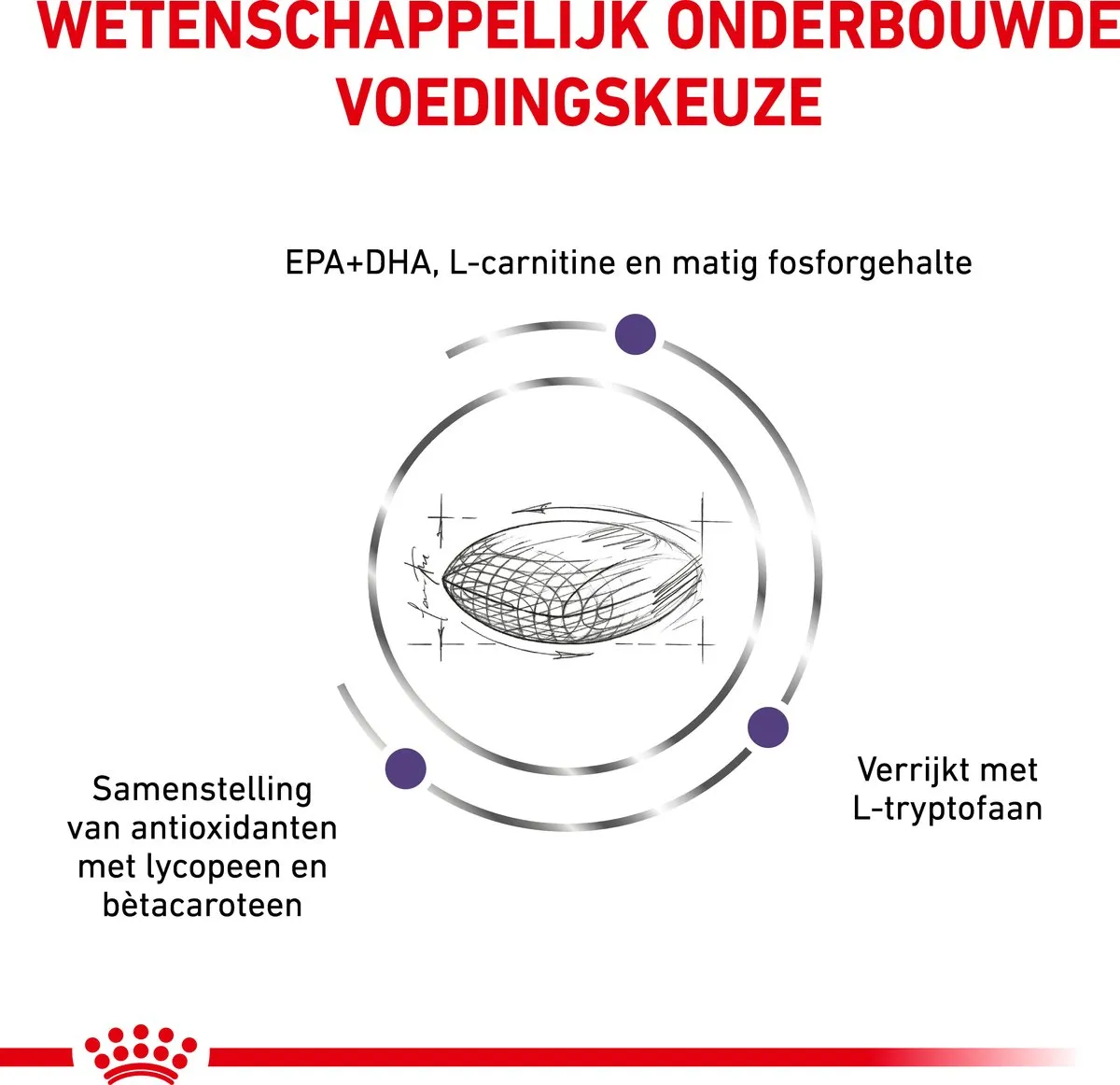 Royal Canin Veterinary Diet Medium Dog Senior Mature Hondenvoer 10kg