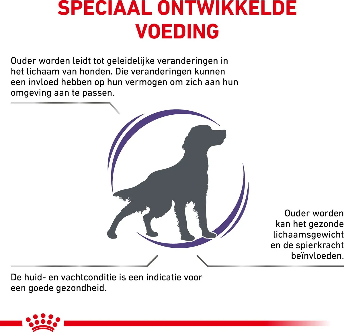 Royal Canin Veterinary Diet Medium Dog Senior Mature Hondenvoer 10kg