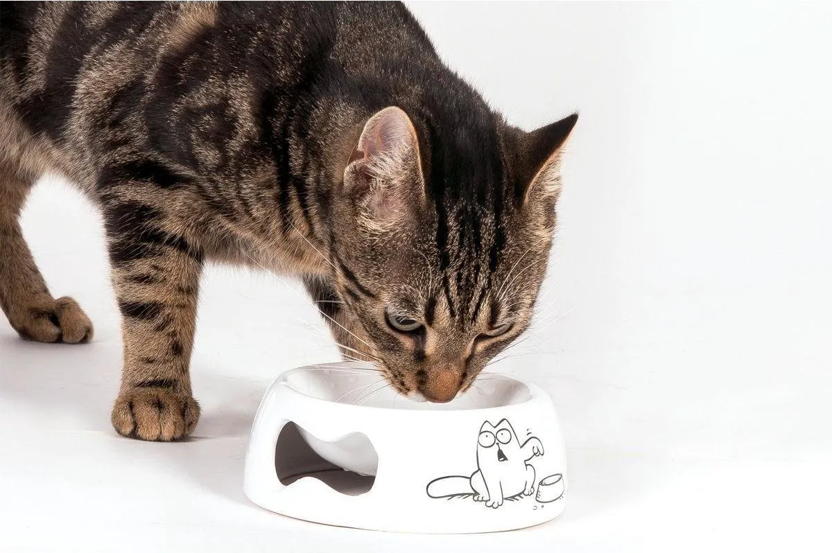 Flamingo Simons Cat Kattenvoerbak 14.5cm - Wit