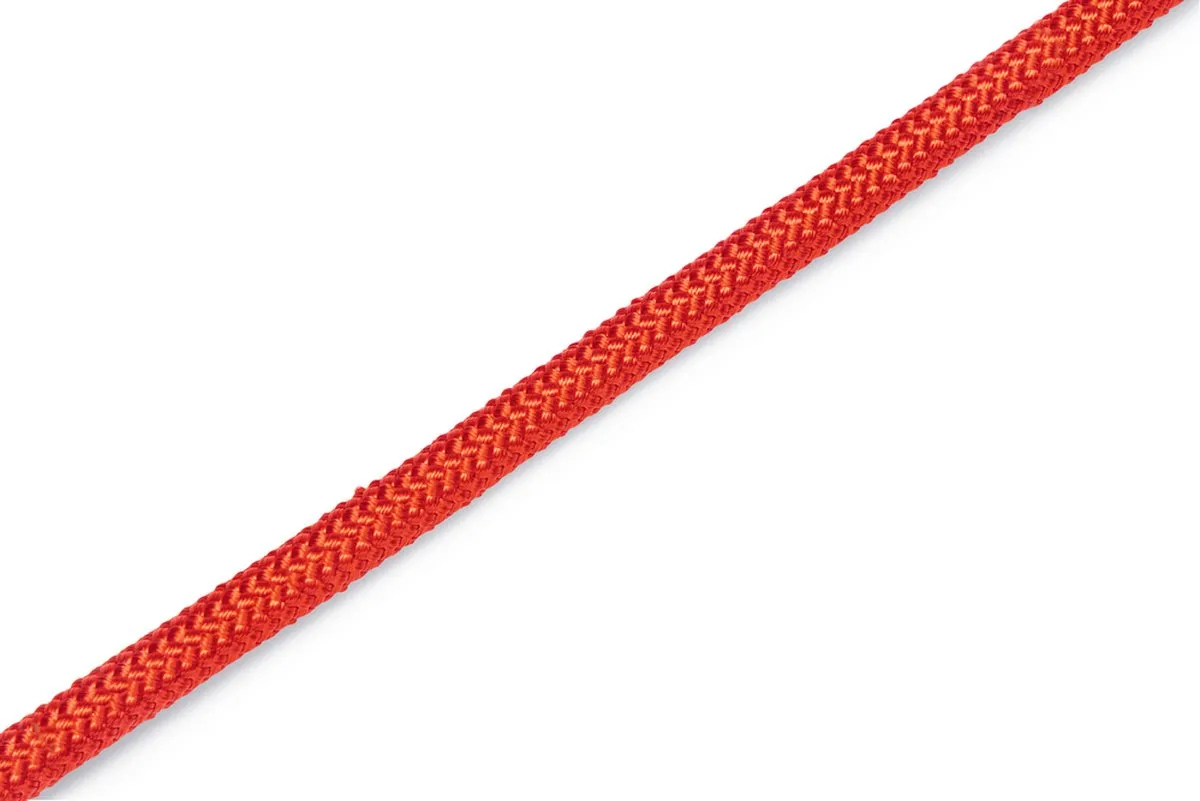 Beeztees Premium Parinca Hondenhalsband - Rood - afbeelding 2 van 5