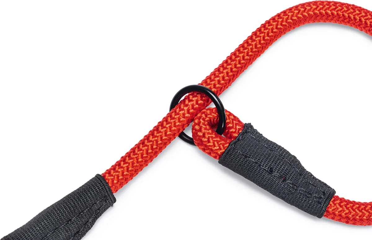 Beeztees Premium Parinca Hondenhalsband - Rood - afbeelding 5 van 5