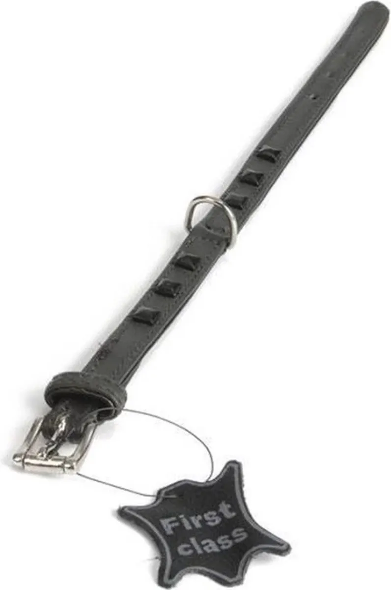 Beeztees DogGear Stud Hondenhalsband - M - Grijs