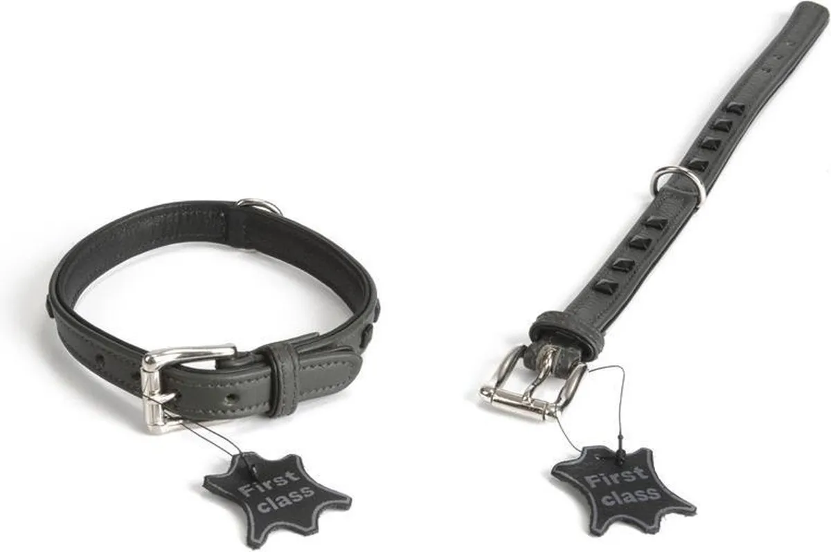 Beeztees DogGear Stud Hondenhalsband