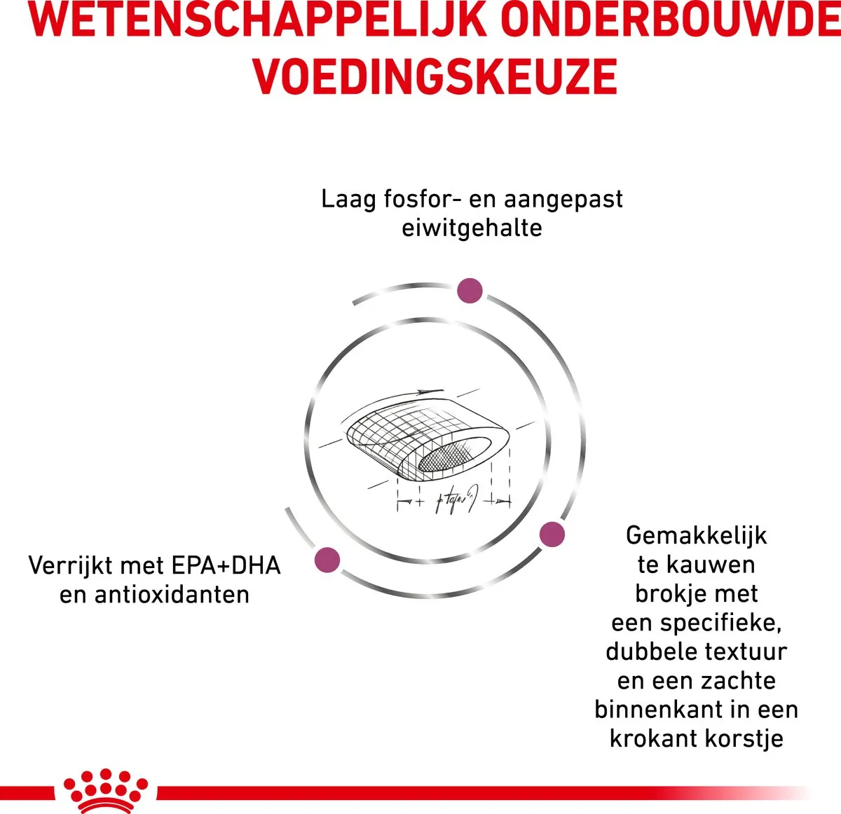 Royal Canin Veterinary Diet Kat Renal Select - 400g