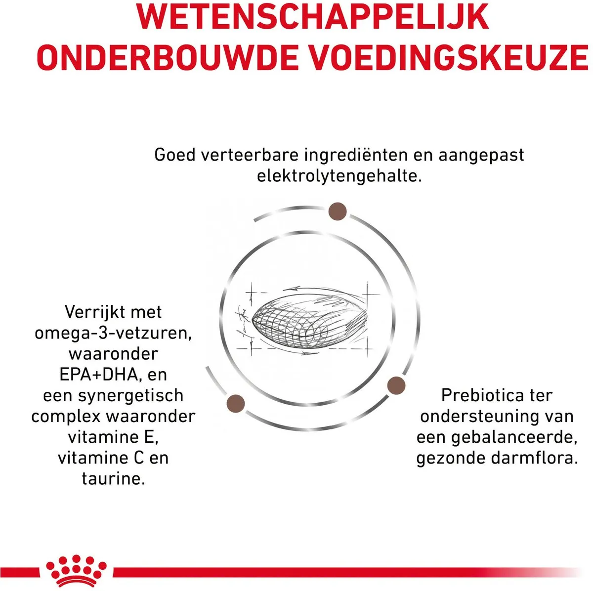 Royal Canin Veterinary Diet Gastrointestinal Hairball Kattenvoer 4kg - afbeelding 6 van 6