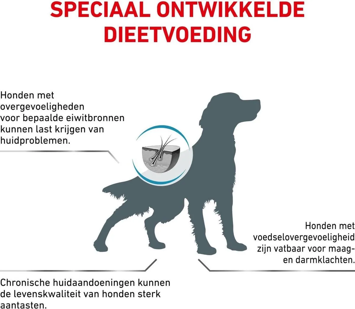 Royal Canin Anallergenic Hondenvoer 8kg