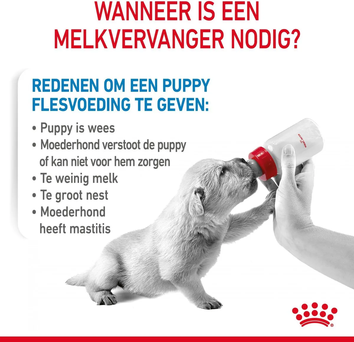 Royal Canin Babydog Milk Hondenvoer 2kg