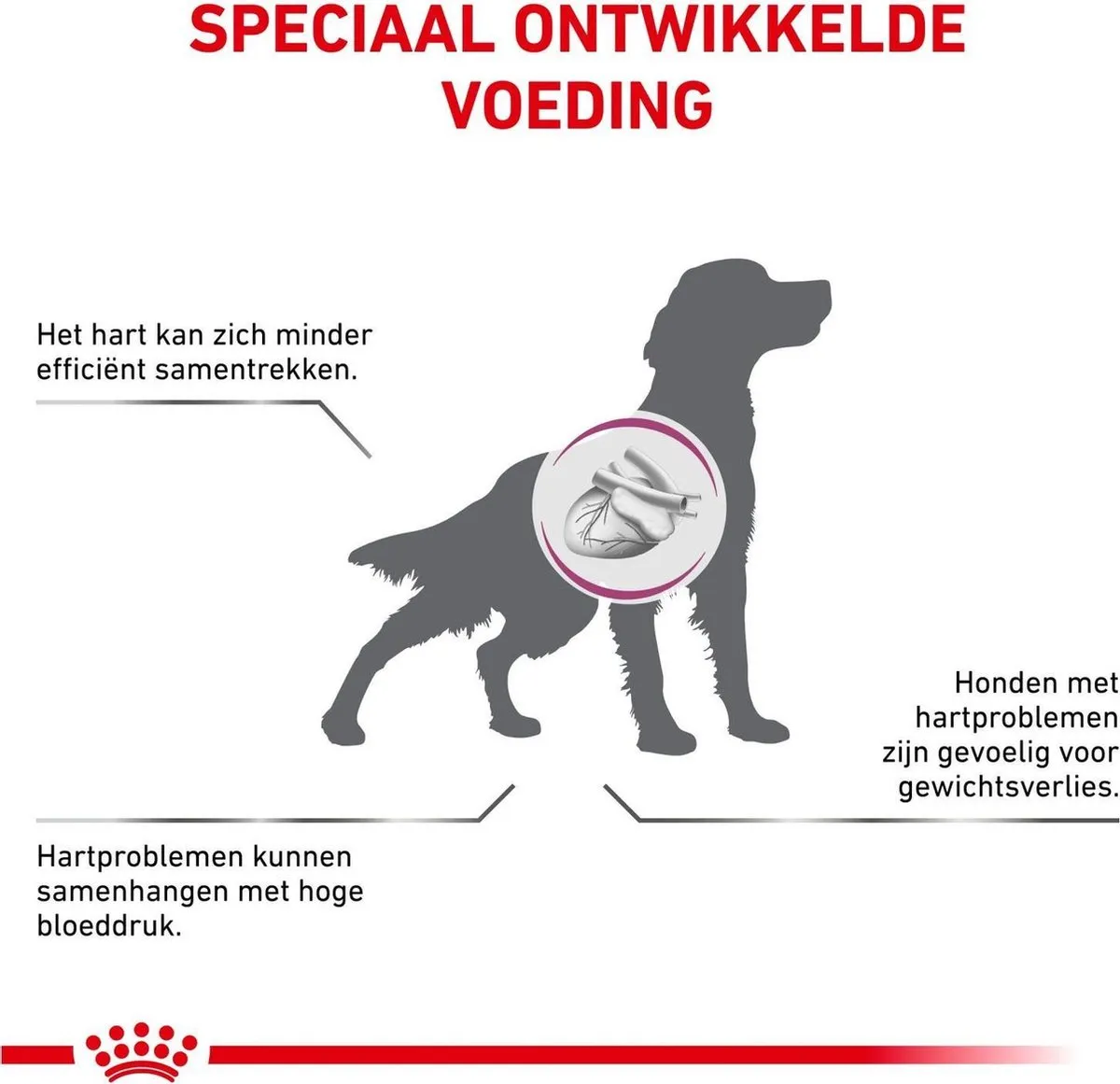 Royal Canin Cardiac Hondenvoer 2 kg