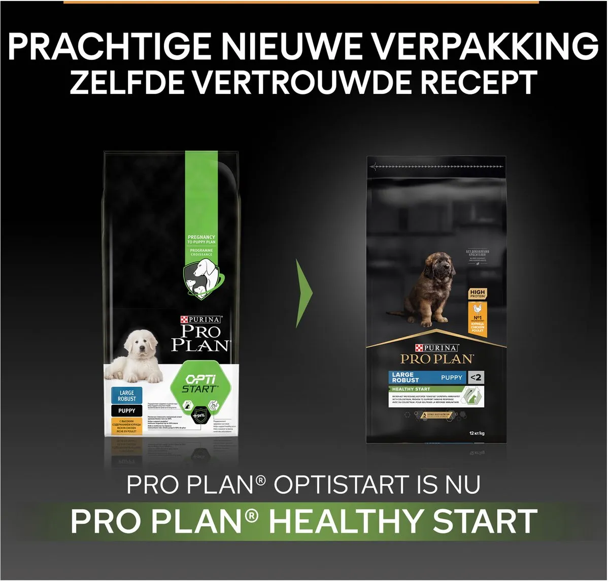 Pro Plan Healthy Start Puppy Large Robust Kip - 3 kg