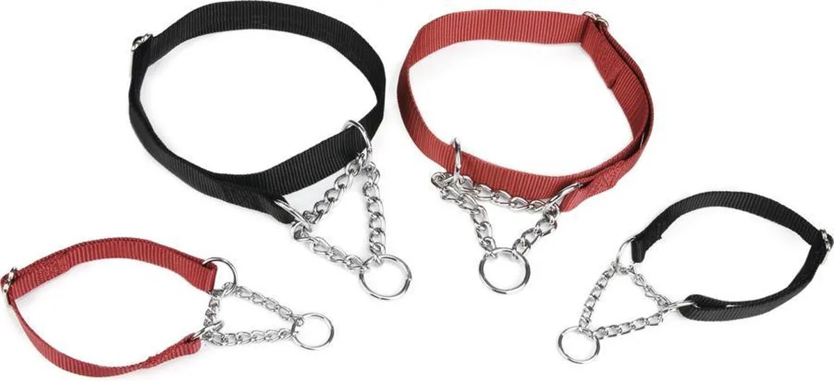 Beeztees Halsband Hond Zwart 45-70cm x 25mm