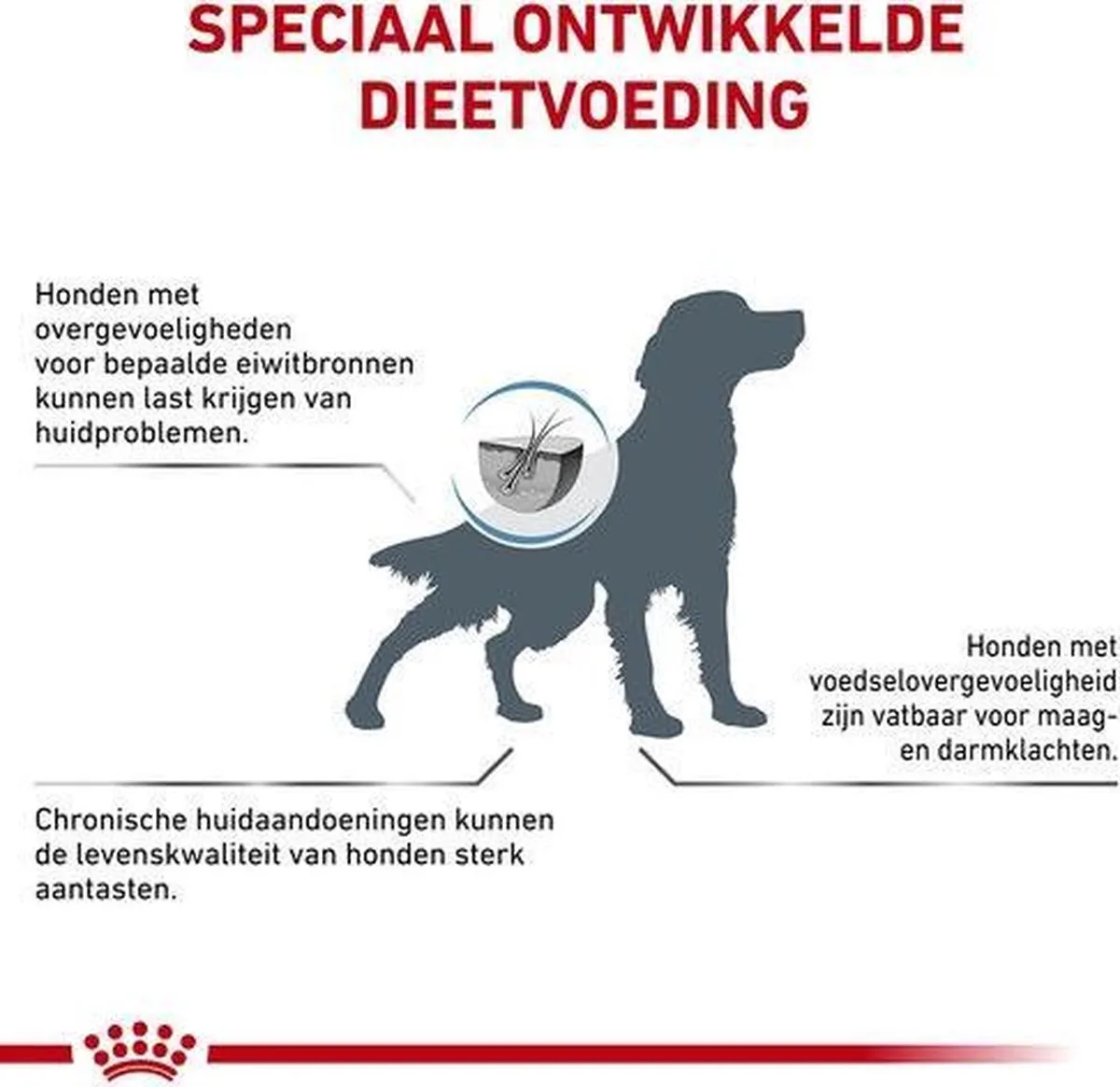 Royal Canin Anallergenic Hond - 2x8kg