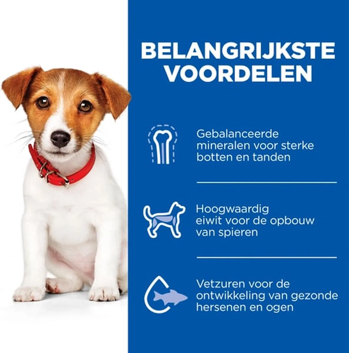 Hill's Puppy Small & Mini Lam & Rijst 1,5kg - 4 Stuks