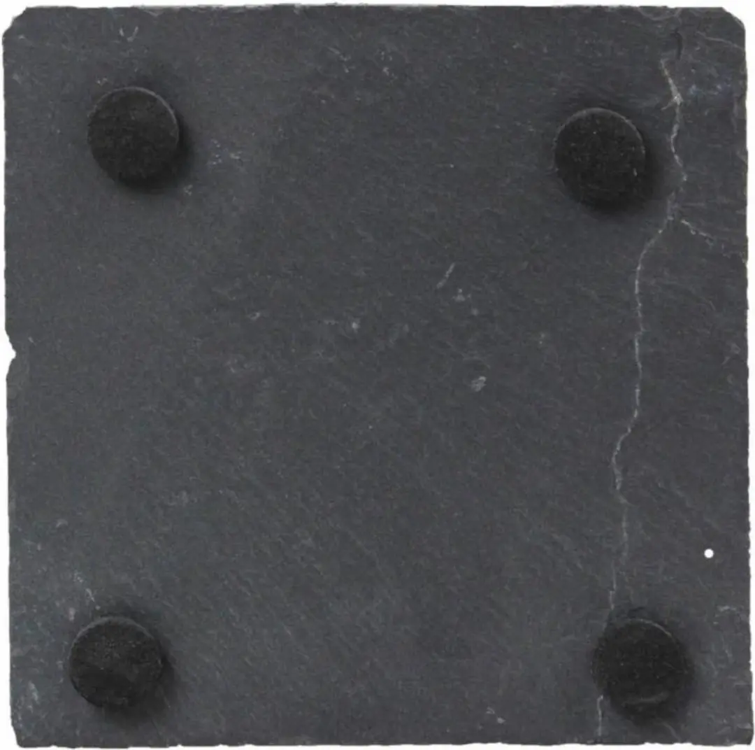 Alpina Leisteen Onderzetters 10x10cm