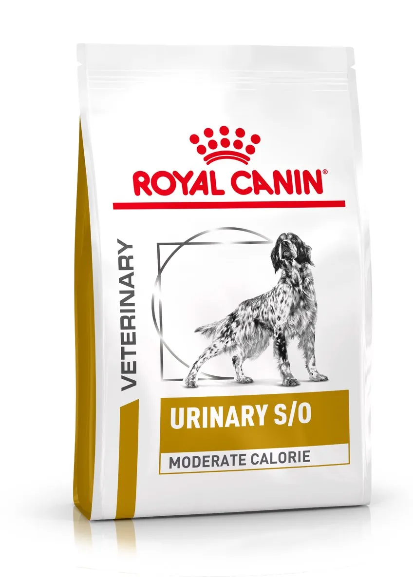 Royal Canin Veterinary Diet Urinary S/O Hondenvoer 6.5kg