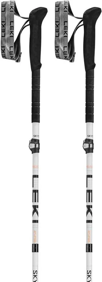Leki Skysolo Fx.one Carbon Stokken Zilver 115 cm Man,Vrouw