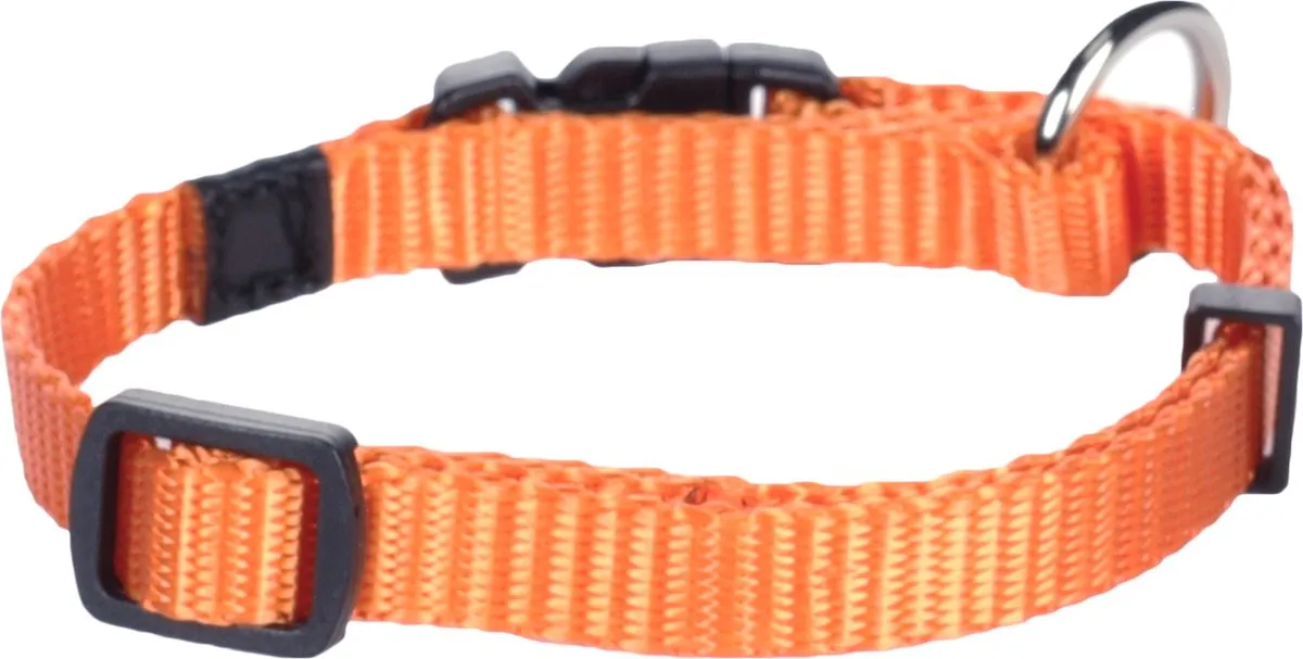 Flamingo Ziggi Hond Halsband - Oranje XS 20-35cm
