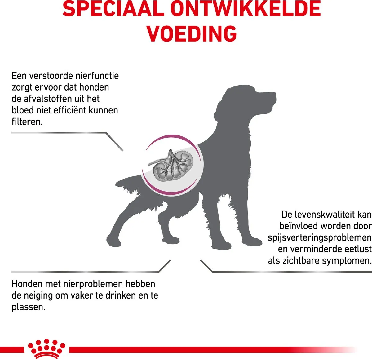 Royal Canin Veterinary Diet Renal Hondenvoer 2kg