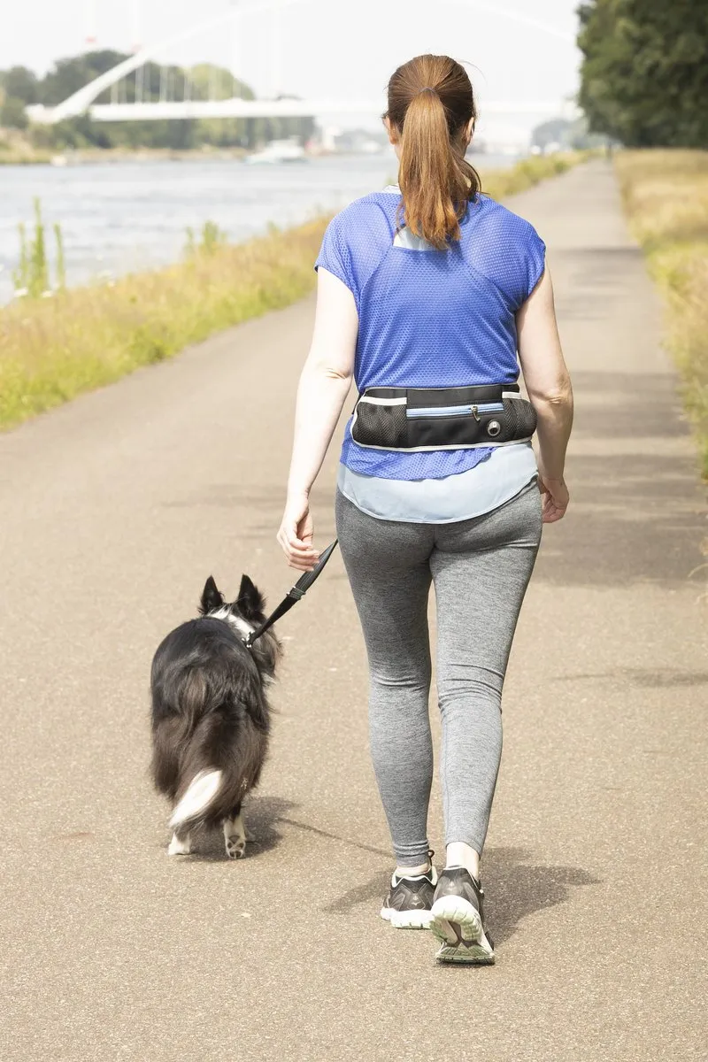 Flamingo Rono Blauwe Hardloopriem Hond - One Size