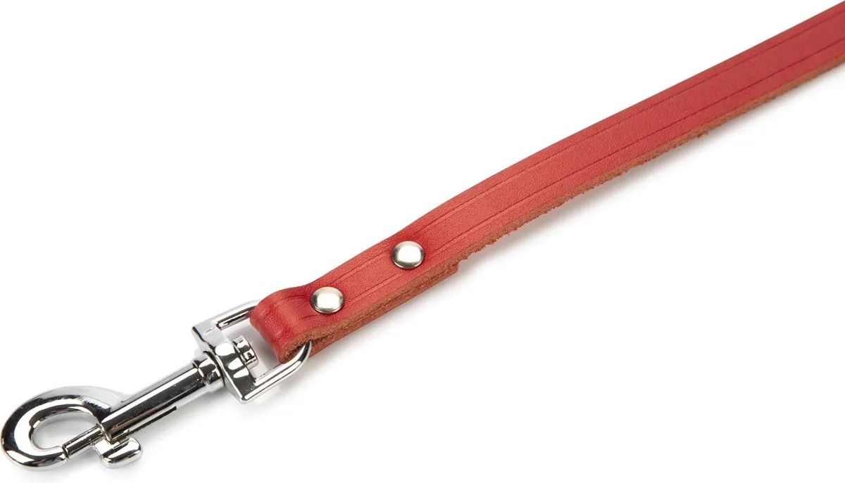Beeztees Hondenriem Rood 100x12cm