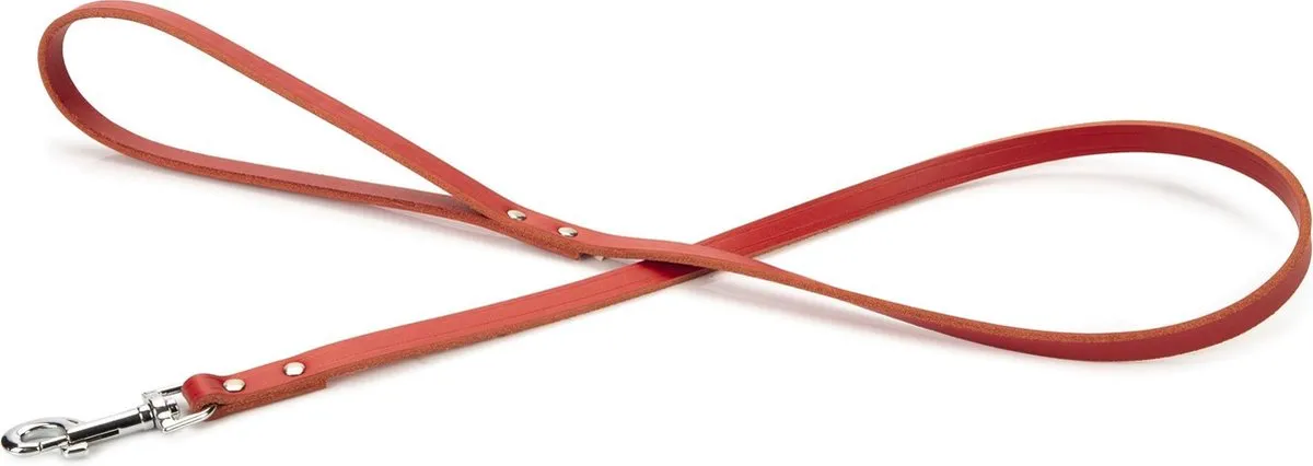Beeztees Hondenriem Rood 100x12cm