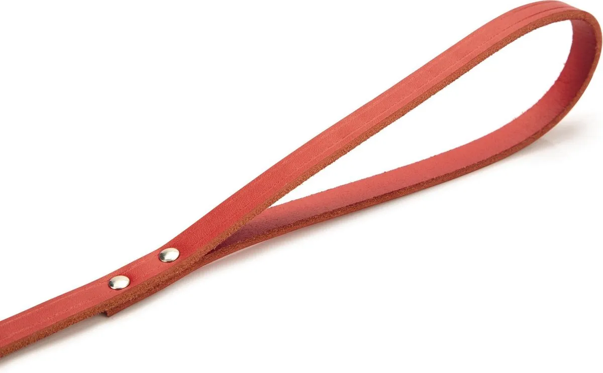 Beeztees Hondenriem Rood 100x12cm