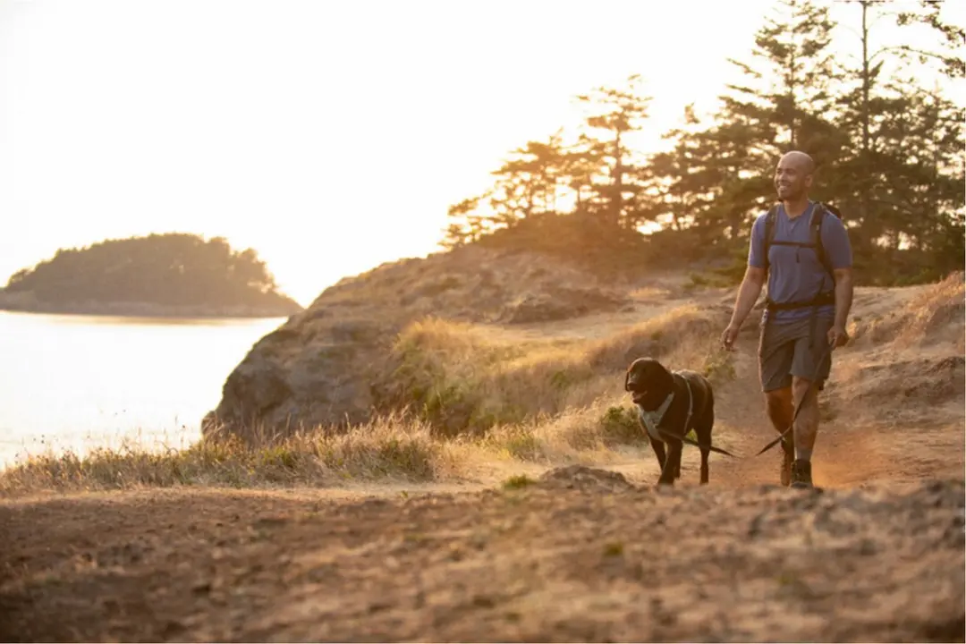 Ruffwear Front Range Leash