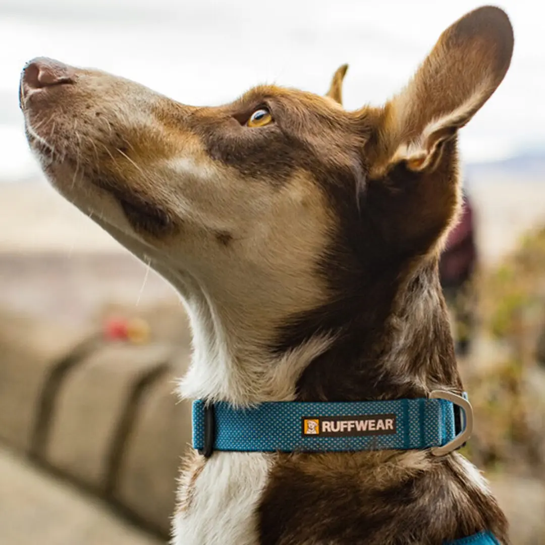Ruffwear Hi & Light Collar