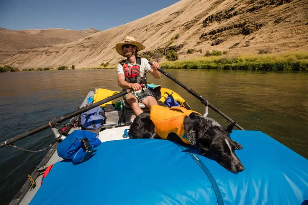 Ruffwear Float Coat Hondenzwemvest
