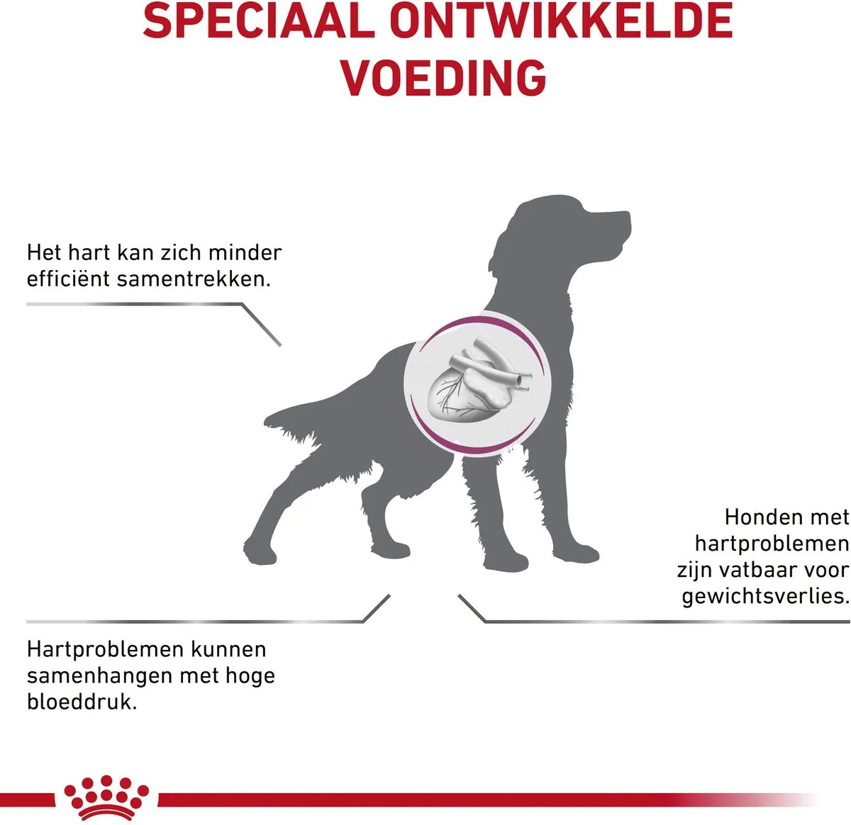 Royal Canin Veterinary Diet Cardiac Hondenvoer 14kg