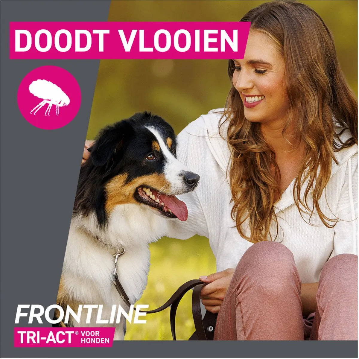 Frontline Tri-Act Anti-Vlooien & Teken Druppels L - 3 Pipetten